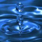 87d46cee3c_3888971_med