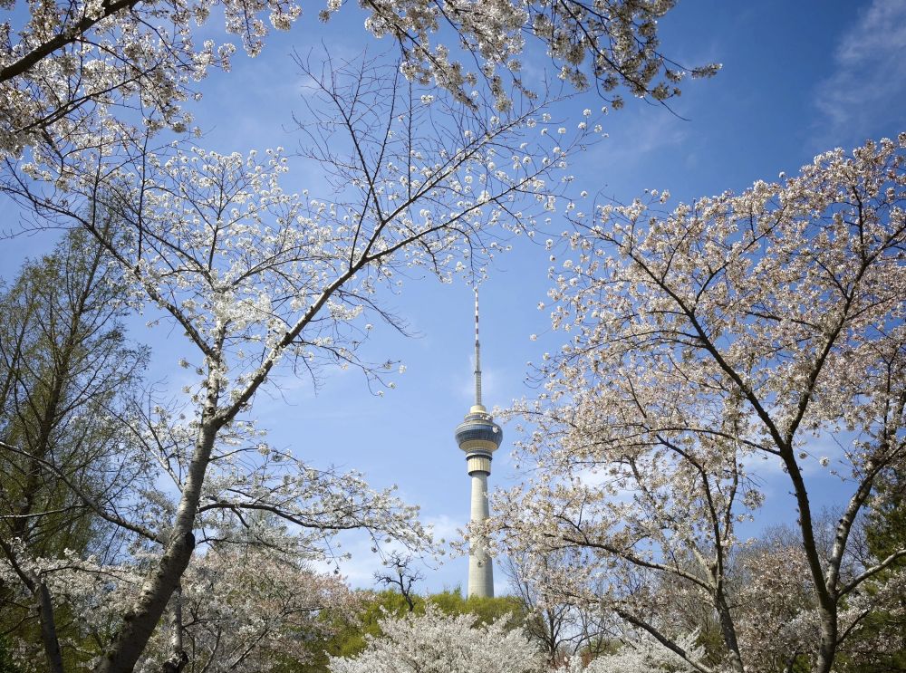 Pechino, quasi eliminate le giornate con livello “grave” di inquinamento