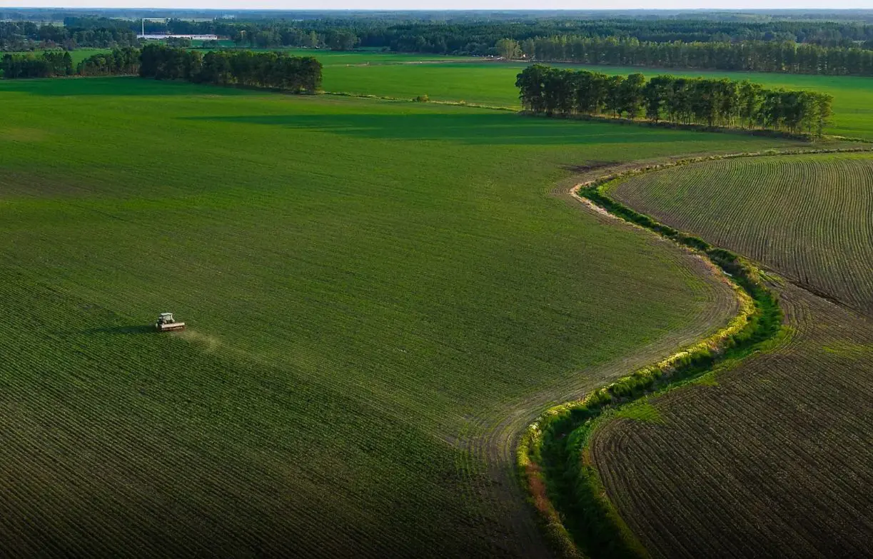 Portavoce Cina, pronti a facilitare commercio agricolo bilaterale con Usa