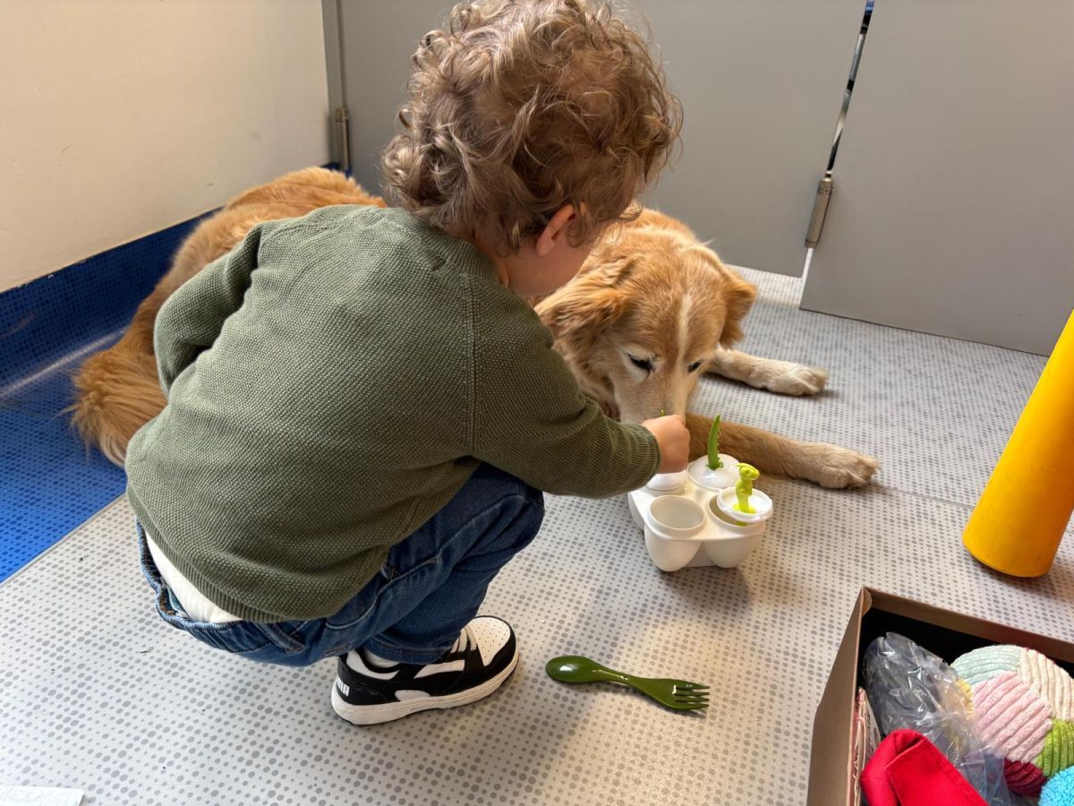 Purina e Frida’s Friends, pet therapy in Neurologia Pediatrica al Fatebenefratelli